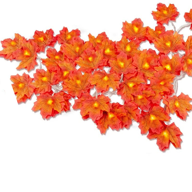 Autumn maple leaves close-up