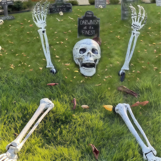 Life-size skeleton skull, arms and legs staked into a lawn