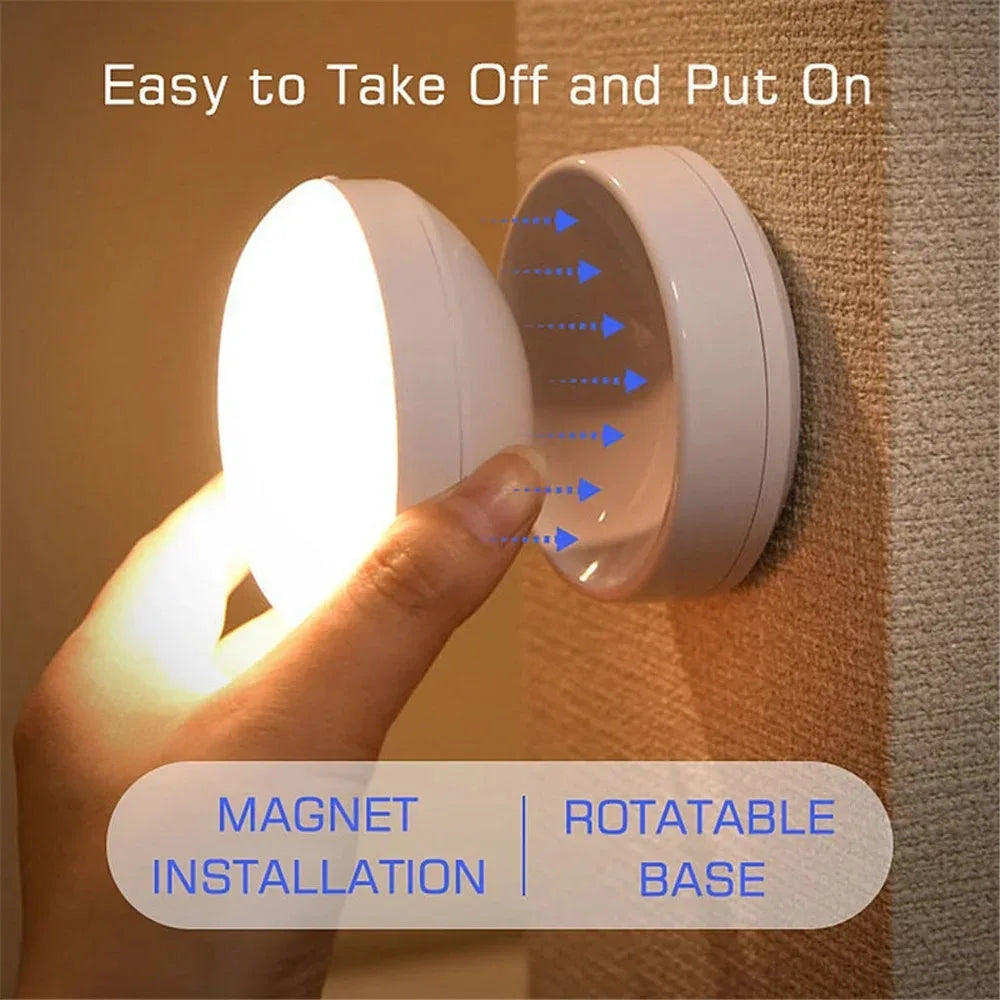 Motion sensor light detail
