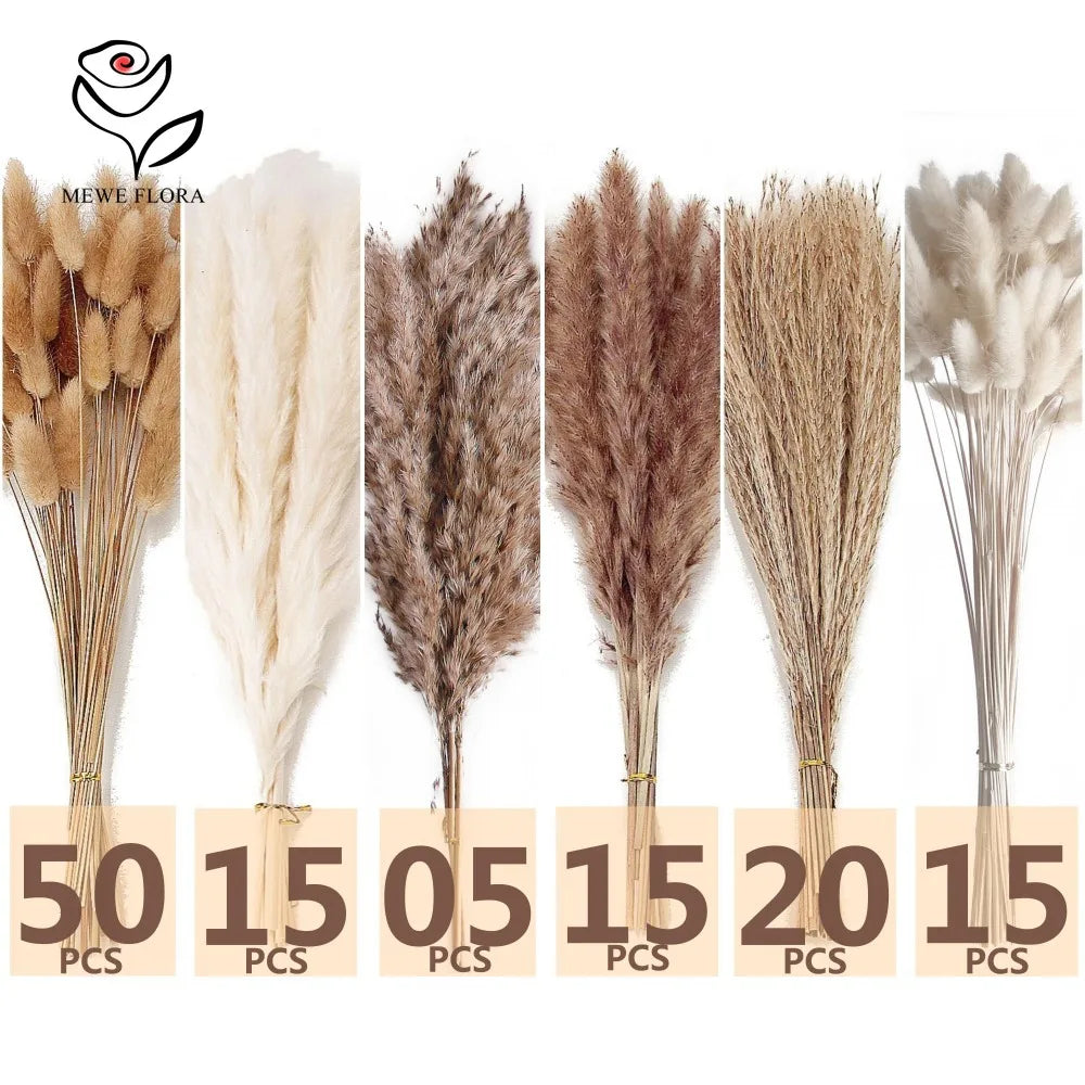 120 stems of pampas, bunny tails and reed grass